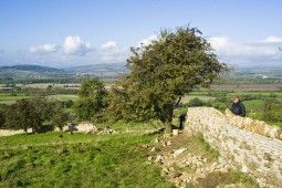 corporate photographer cotswolds landscaping company gloucestershire